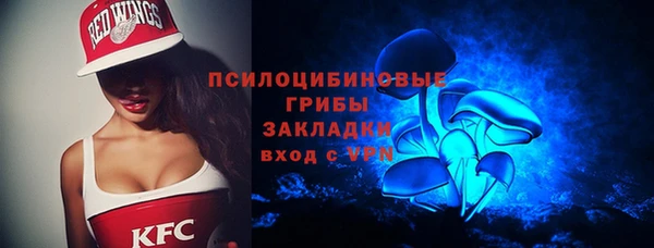 шишки Лихославль
