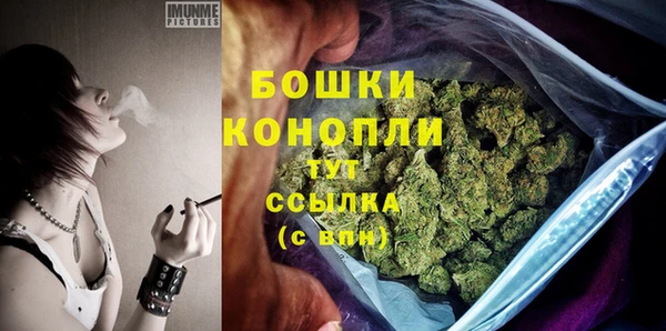 спиды Липки