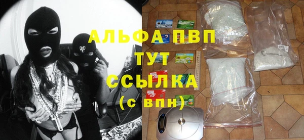 спиды Липки